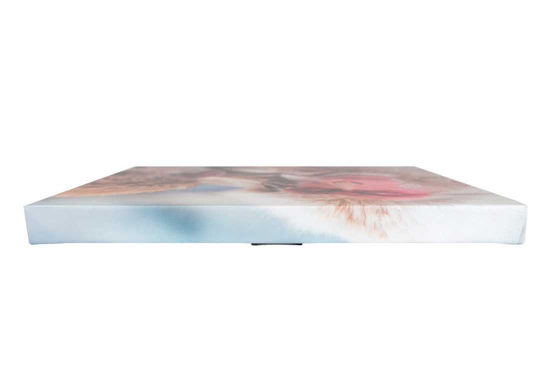 What are Canvas Photo Prints?