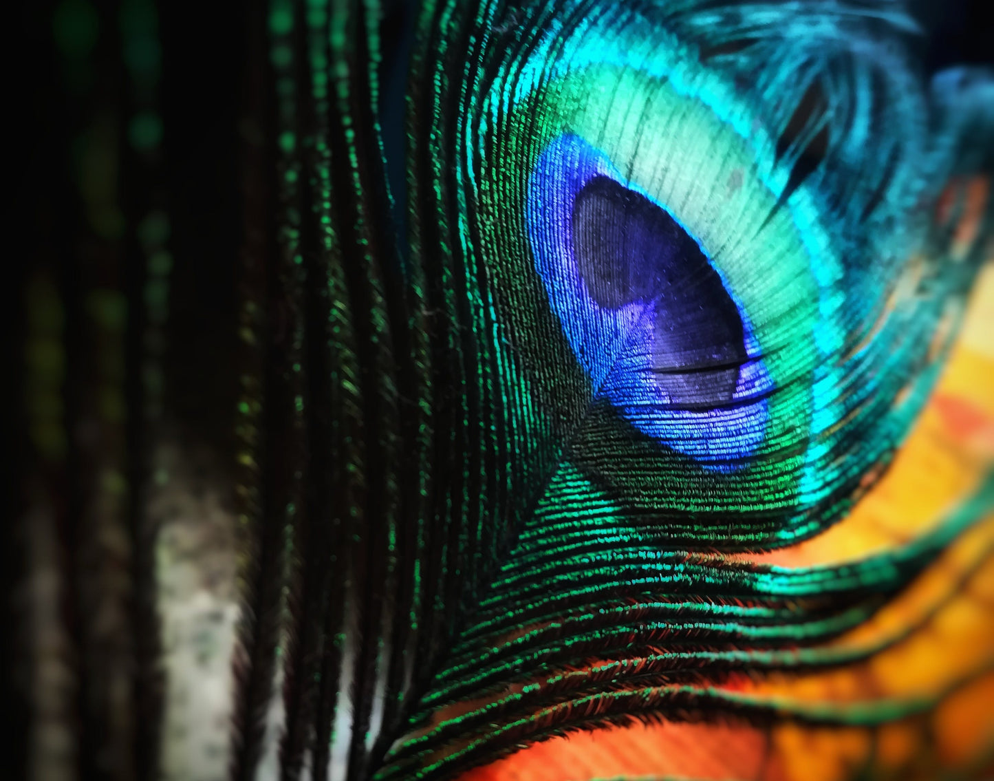 hd-metallic-livearf-product LIVEARf Order #L5z6nmx