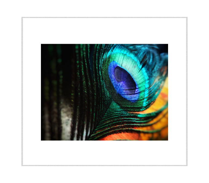 frame-style-livearf-product LIVEARf Order #Ls6wfp7