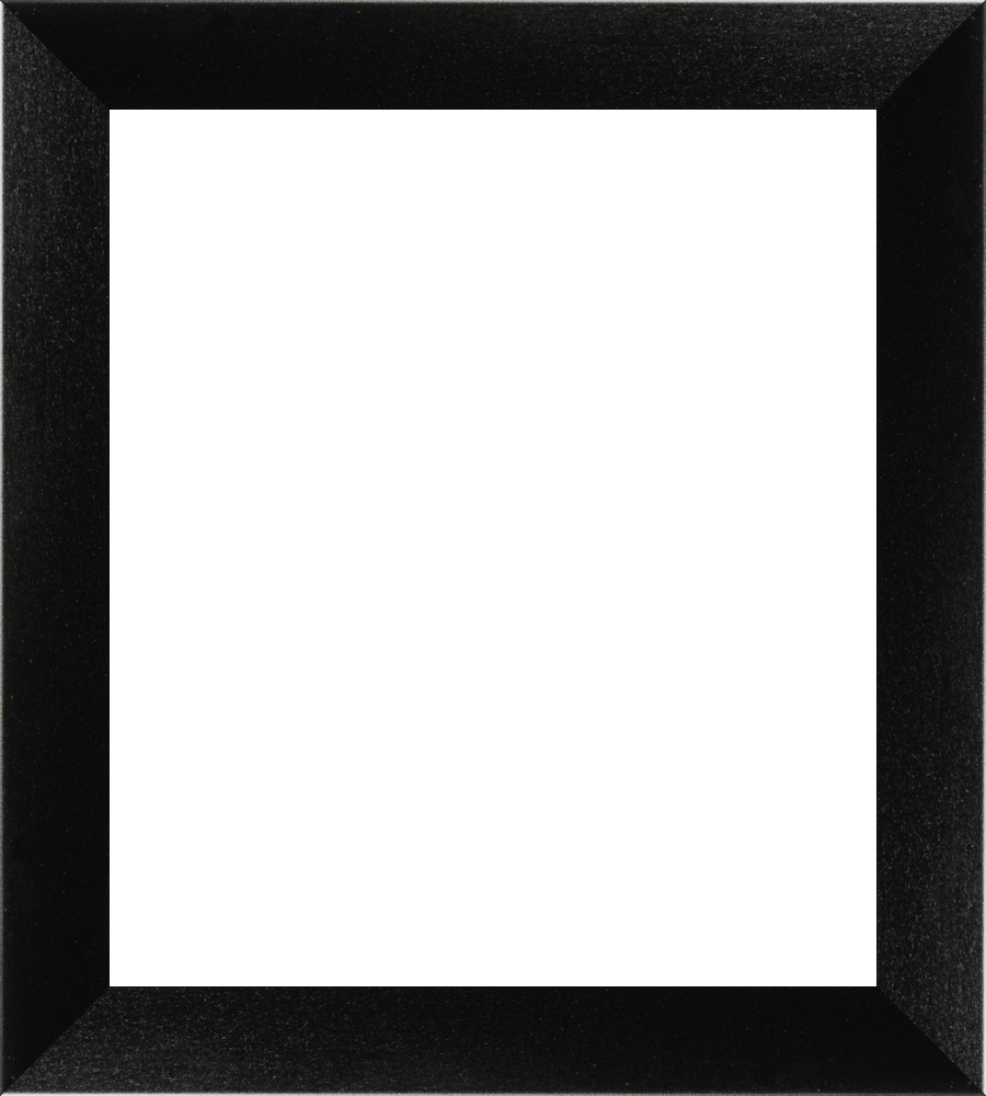 frame-style-livearf-product LIVEARf Order #Lr12fms