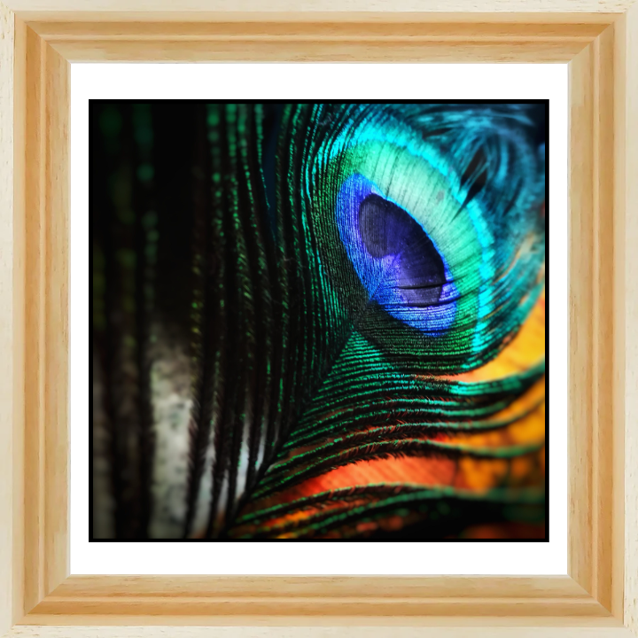stretched-canvas-print-with-floater-frame LIVEARf Order #Lqr3k3k
