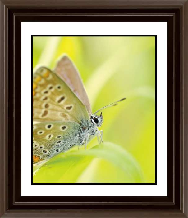 stretched-canvas-print-with-floater-frame LIVEARf Order #Lyq2k8j