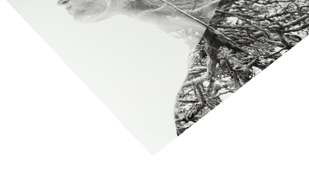 What are Metal Photo Prints? – FrameLab Studio